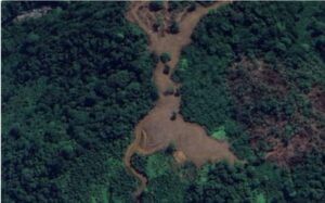 WALHI Ungkap Deforestasi di Aceh, Sumatera Utara dan Sumatera Barat