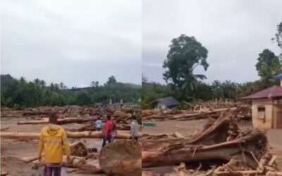 Manajer Kampanye Hutan dan Kebun WALHI, Uli Arta Siagian