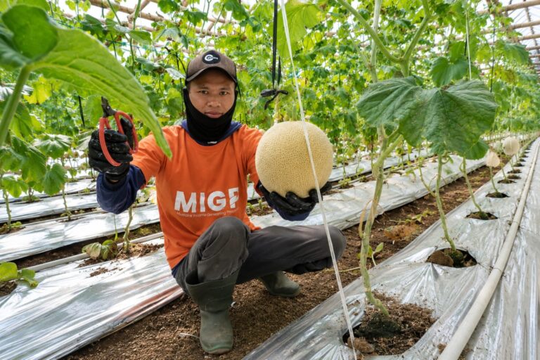 YBM BRILiaN SBO Malang Buktikan Zakat Bisa Ubah Nasib, Mustahik Raup Omzet Rp93 Juta dari Melon