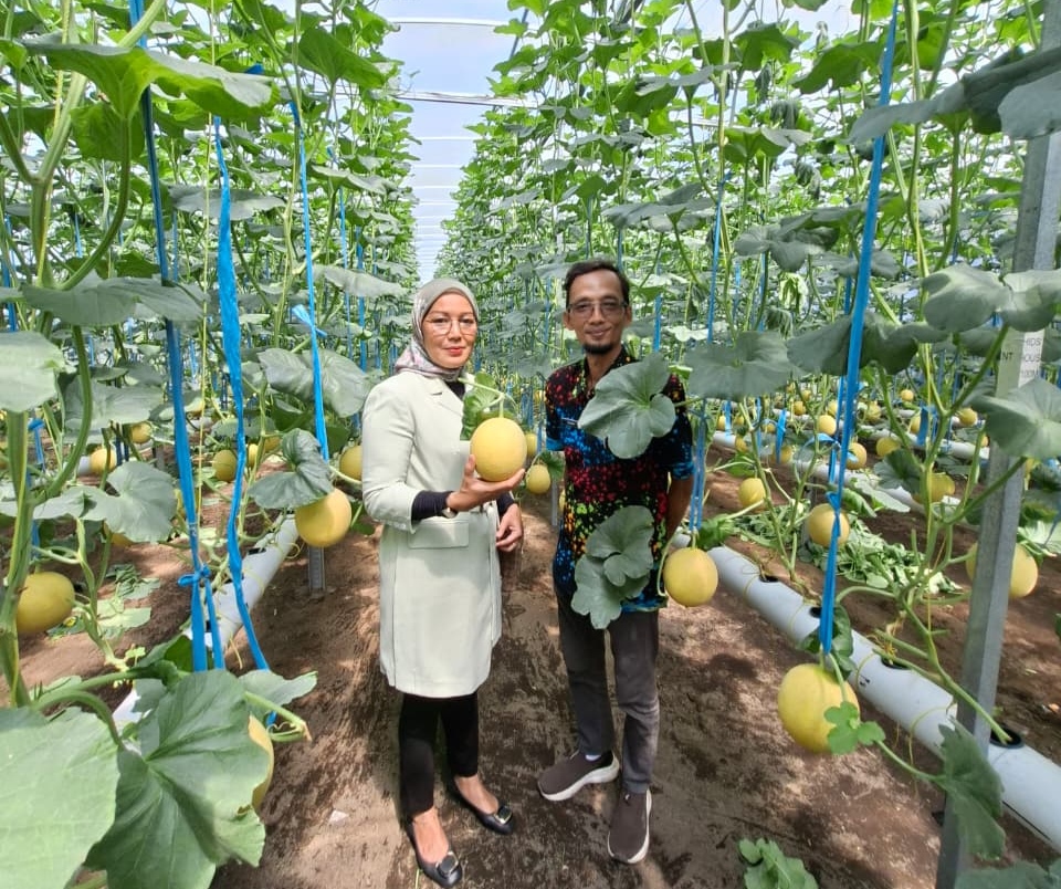 BRI Tulungagung salurkan KUR Rp741 miliar hingga Juli 2026 untuk lebih dari 15 ribu UMKM. Sektor pertanian dan perdagangan dominasi 50% total penyaluran.